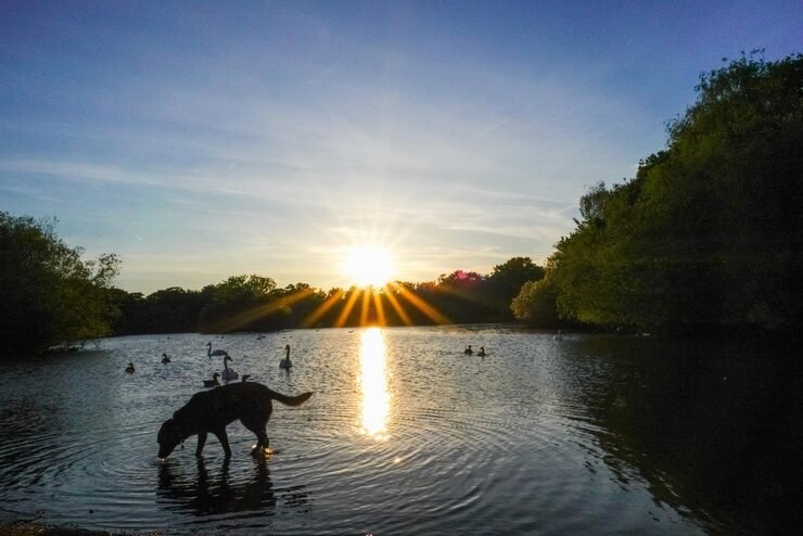Sundowner at lake Pench