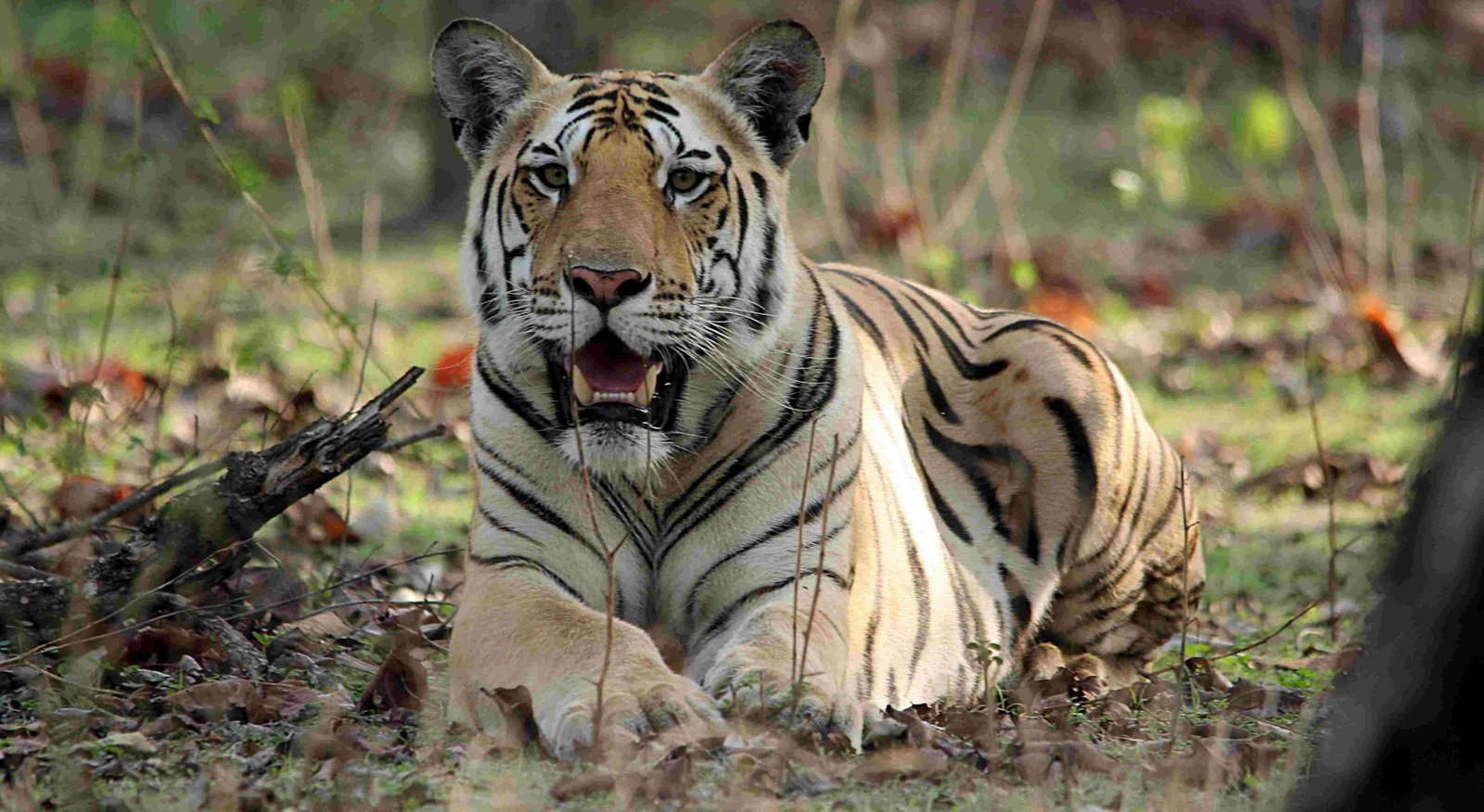 Bagh Villa Pench Location