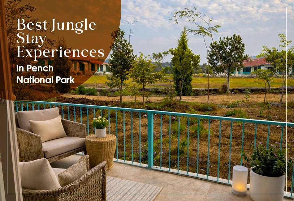 best-jungle-stay-experiences-in-pench-national-park