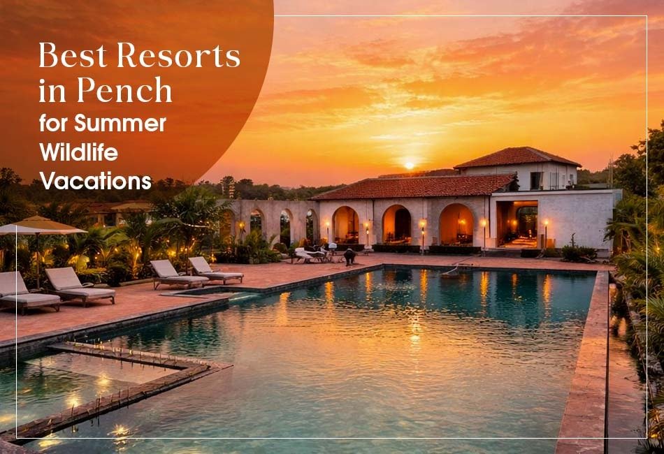 best-resorts-in-pench-for-summer-wildlife-vacations