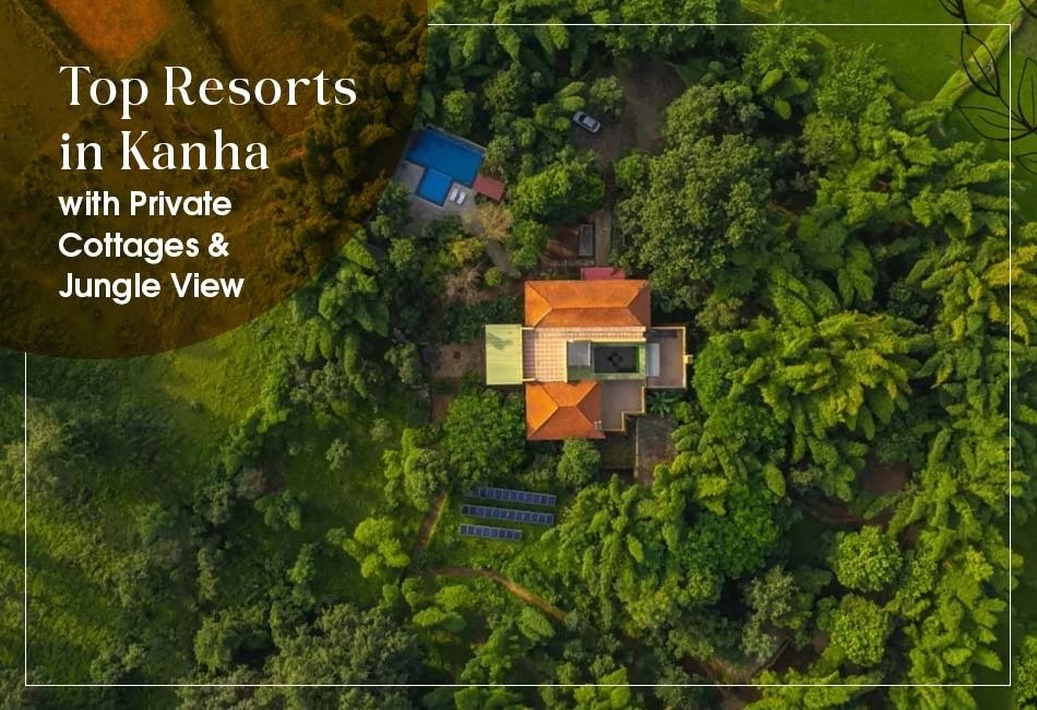 top-resorts-in-kanha-with-private-cottages-Jungle-View